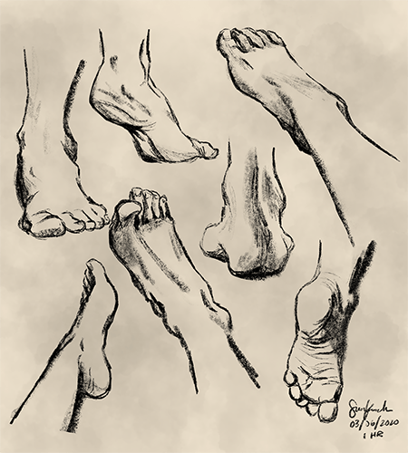 Feet Study