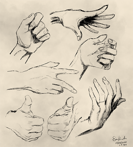 Hands Study
